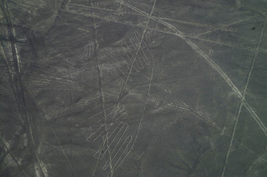 ナスカの地上絵<br>地表に描かれた幾何学図形。セスナに乗って上空からコンドルを見つけましょう。