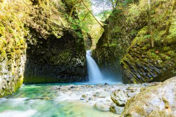 日本一滝の多い町　飛騨小坂。落差５ｍ以上の滝が２１６もあります。滝と森のマイナスイオンをたっぷり浴びながら滝めぐりを楽しむことができます。