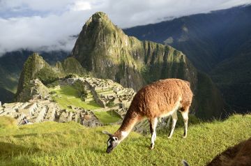 メキシコシティ発着　マチュピチュ遺跡観光7日間プラン