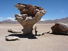 Arbol de Piedra3.jpg