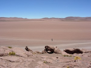DSCN1500.jpg