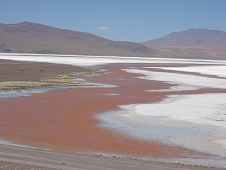 Laguna Colorada６.jpg