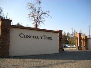1553116-Concha-y-Toro-4.jpg