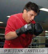 boxer_castillo_2.jpg