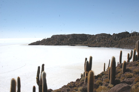 ウユニ塩湖/ボリビア イスラ・デ・ペスカ